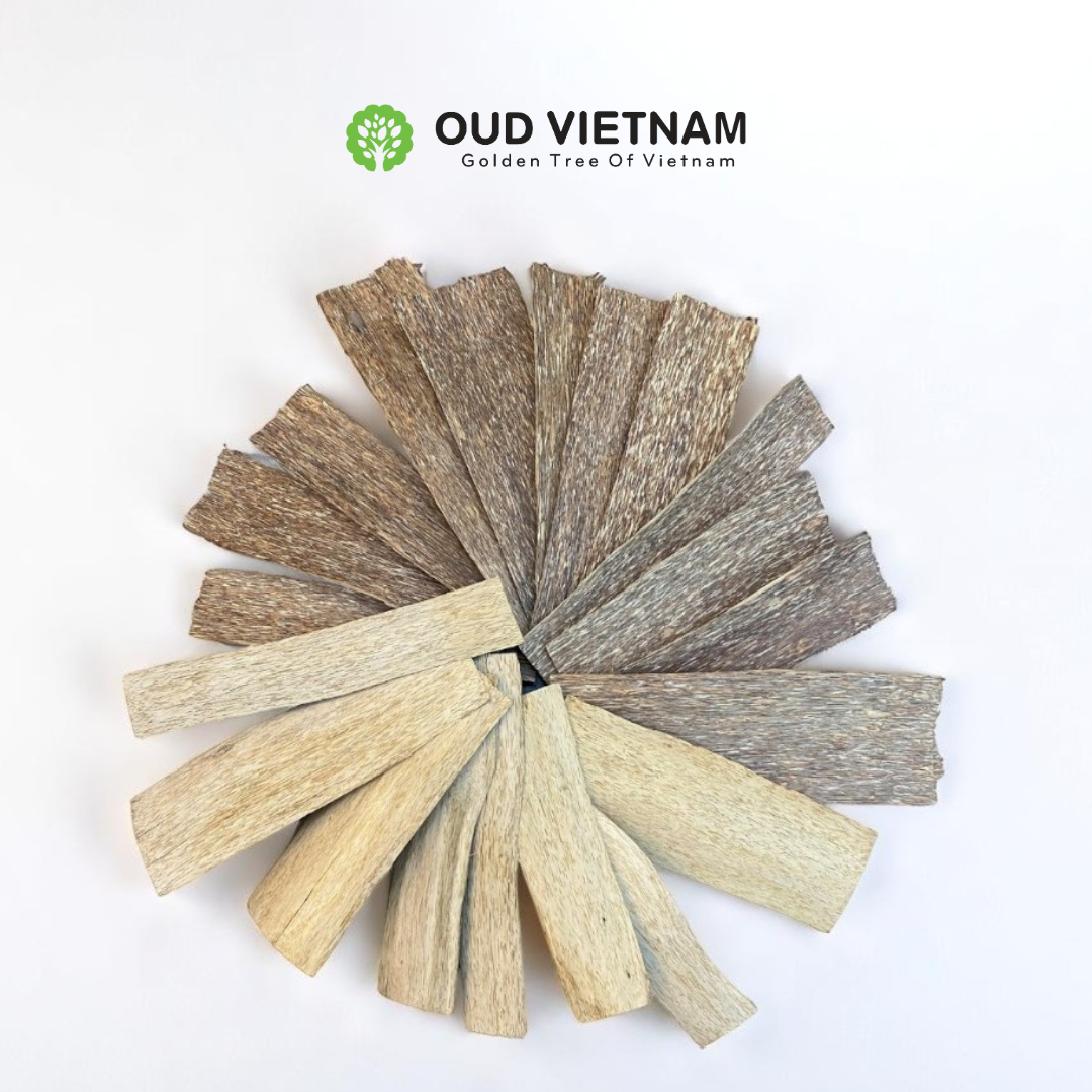Oud Chunks Grade A+ 1mm - OCK3 (100g) – Oud Vietnam