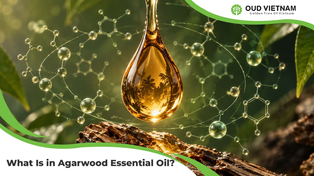 What Is in Agarwood Essential Oil? A Guide to Its Chemical Components