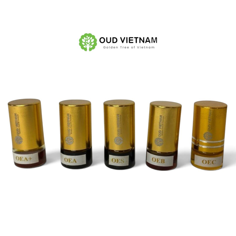 Combine Trial 1 – 5 Types Oud Wood Essential Oil – CBEOT1 (Package)