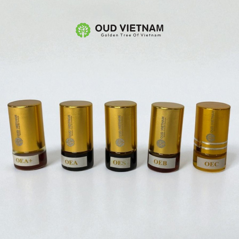 Combine Trial 1 – 5 Types Oud Wood Essential Oil – CBEOT1 (Package)