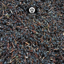 Special season highend Oud Seeds – SOS image 3