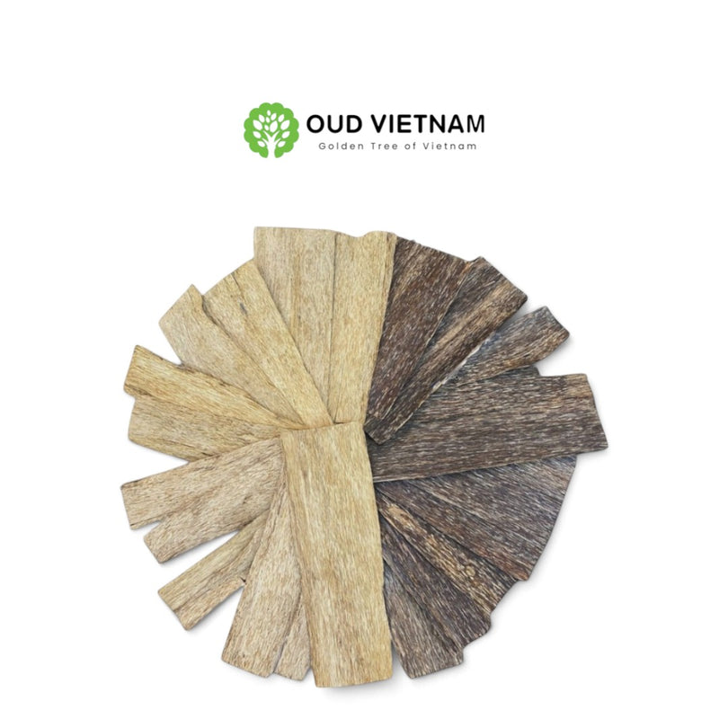 Oud Chunks Grade AA+ 0,5mm – OCK2 (100g)