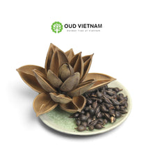 Special season highend Oud Seeds – SOS image 1