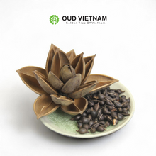 Special season highend Oud Seeds – SOS image 1
