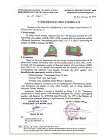Oud Wood Chips Grade Special AA+ – OWC2 (100g) image 17