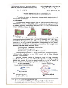 Ant Wood Oud Chips Grade Special AA+ – AOW2 (100g) image 14