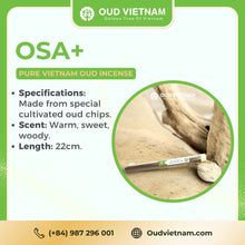 Oud Wood High-end Incense stick 22cm – OSA+ (1kg) image 5