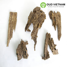 Ant Oud Wood Chips Grade A+ – AOW3 (100g) image 6