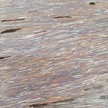 Oud Chunks Grade AAA+ 0,5mm – OCK1 (100g) image 4