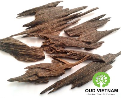 Ant Wood Oud Chips