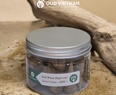Oud Wood High-end Sense Cone - OHC+