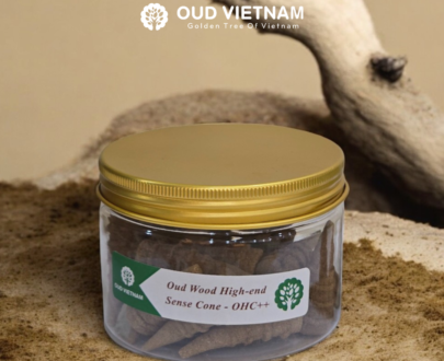Oud Wood High-end Sense Cone – OHC++