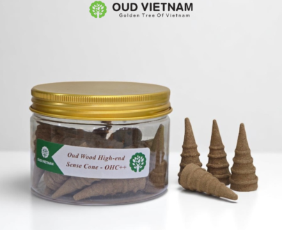 Oud Wood High-end Sense Cone – OHC++