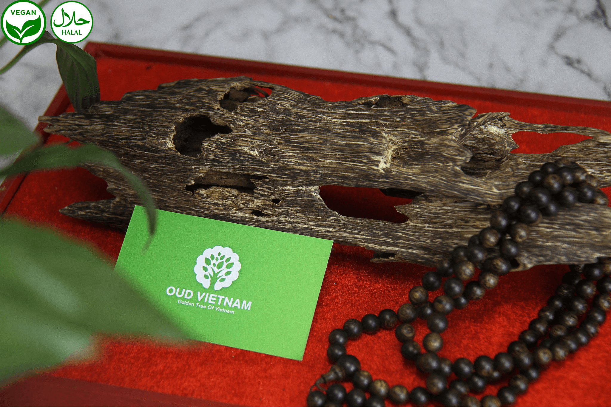 <strong>Oud Vietnam and the Journey of Producing Agarwood to Global Trademark Standards</strong>