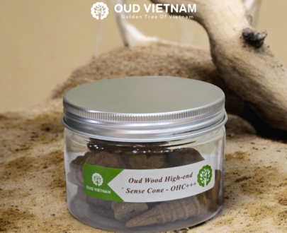 Oud Wood High-end Sense Cone – OHC+++